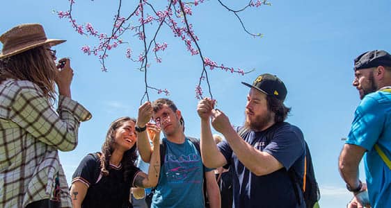 Conservation and Environmental Science students studying flowering tree buds in the FLCC arboretum.